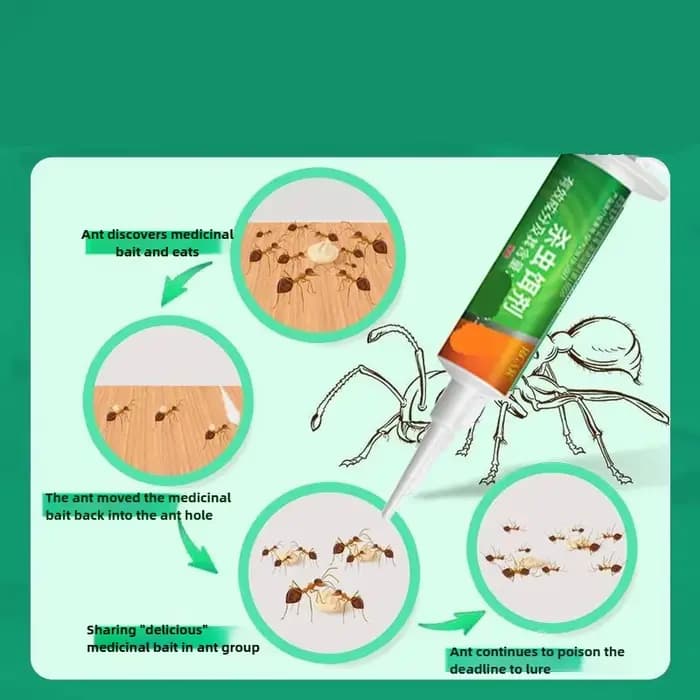 Piège à fourmis en Gel
