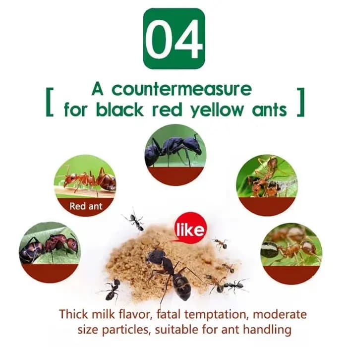 Poudre d'appât de fourmi de bain