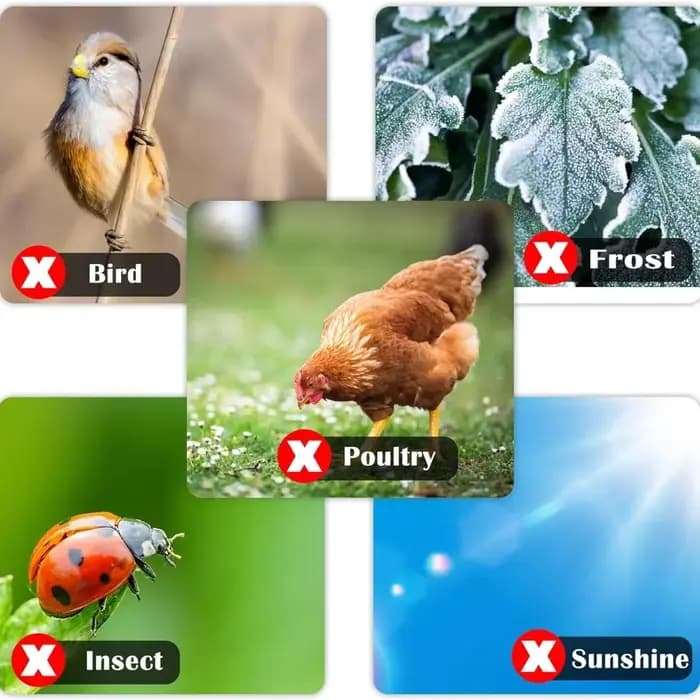 Couverture de filet anti-insectes pour arbres fruitiers