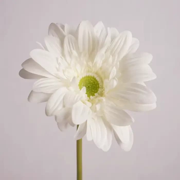 Branche de fleur artificielle Gerbera hydratante au toucher