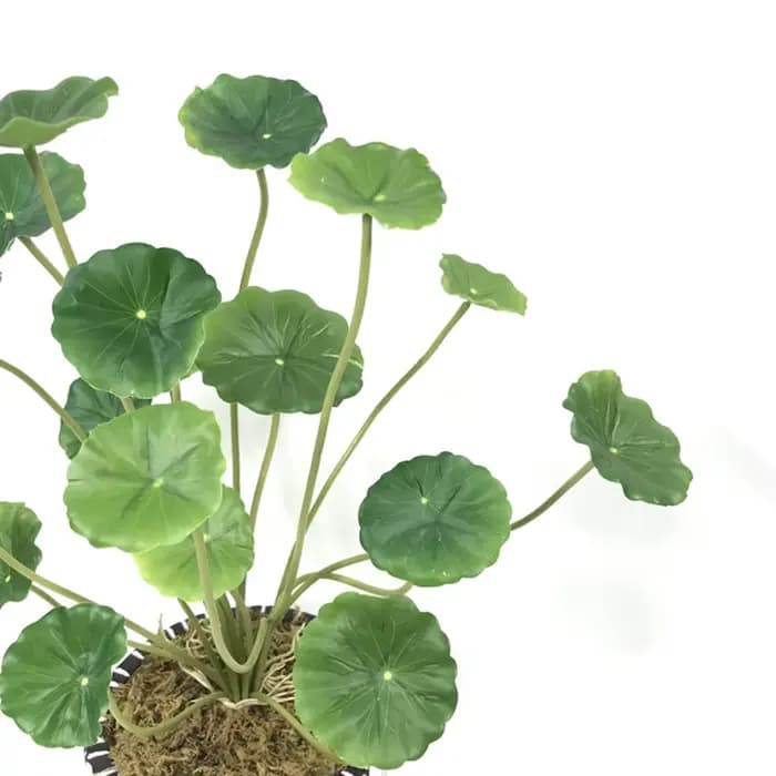 Plante artificielle en pot, feuilles de lotus, décoration intérieure, décoration extérieure, Saint-Valentin, mariage, piscine, aquatique, DIY, plante verte