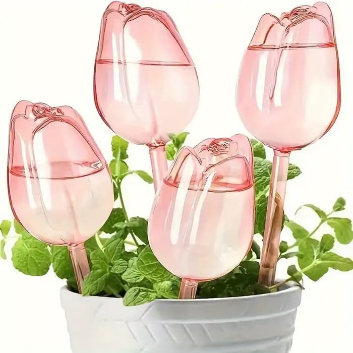 Boules d'arrosage pour plantes tulipes de jardin