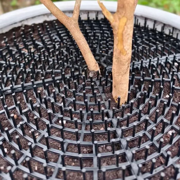 Nouveau protège-sol pour pot de plantes à double usage avec découpes barbelées