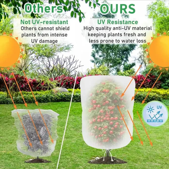 Couverture de filet anti-insectes pour arbres fruitiers