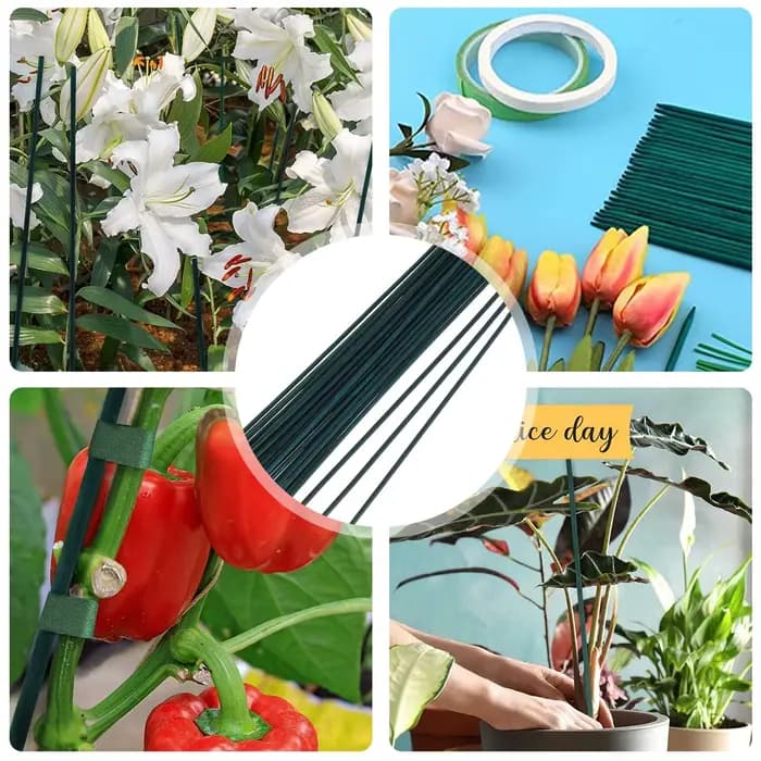 30 pièces bambou vert bâtons plante Support fleur bâton orchidée tige