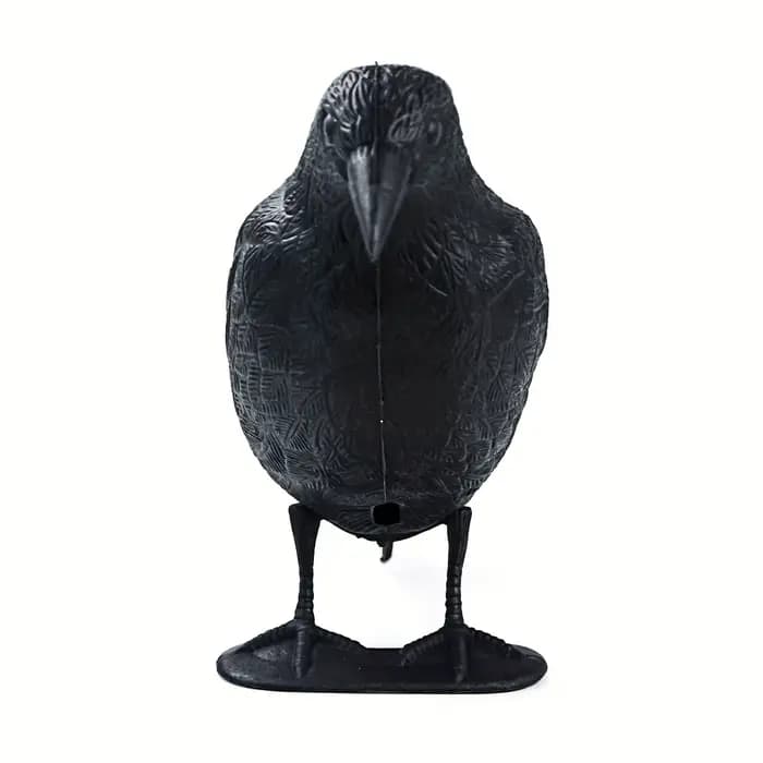Pigeon épouvantail leurre corbeau antiparasitaire répulsif dissuasion