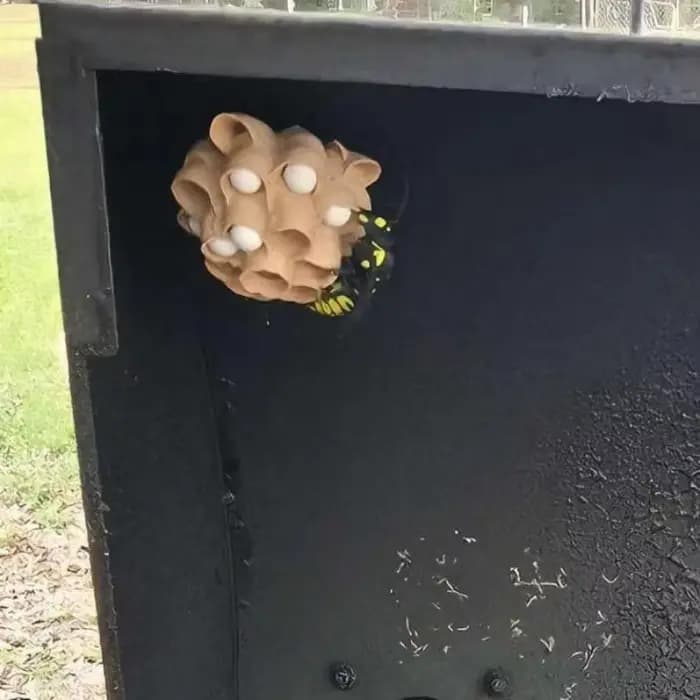 Nid d'abeilles factice écologique à suspendre pour l'extérieur