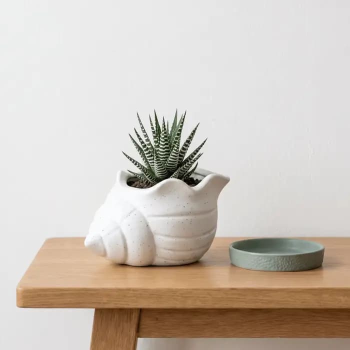 Pot de fleurs amusant en forme de conque imprimé en 3D
