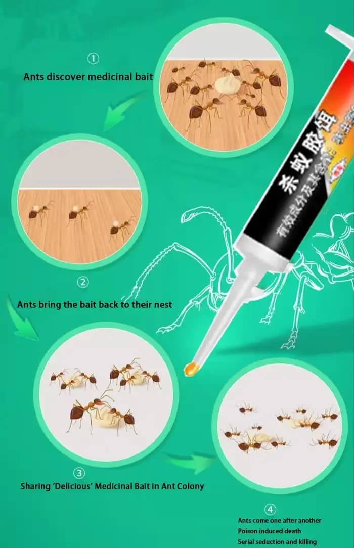 Appât anti-fourmis, lutte efficace contre les parasites et élimination des colonies de fourmis