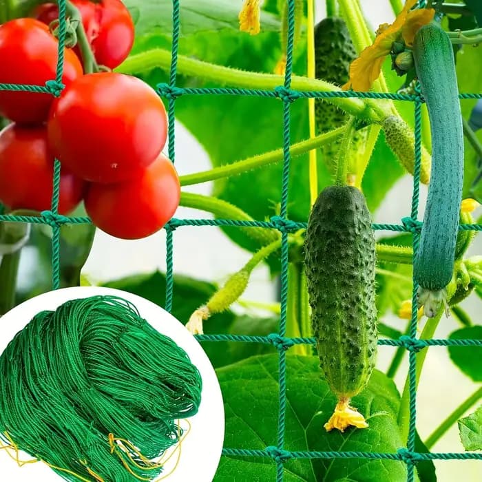 Filet de jardin renforcé pour la croissance des plantes grimpantes, idéal pour les concombres, les fleurs de gloire du matin et les plantes lianes.