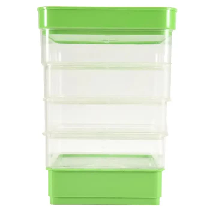 Kit de Germination de graines de haricots