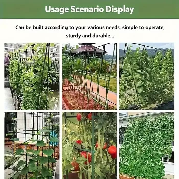 30 tiges de support épaisses pour plantes de tomates