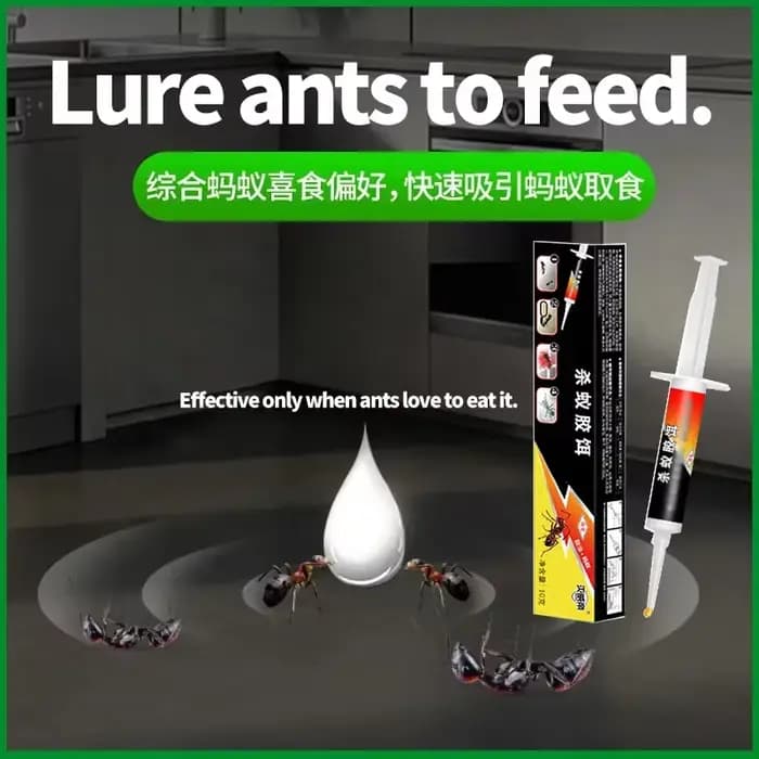 Attrayant de fourmis, utilisé pour la rosée des fourmis