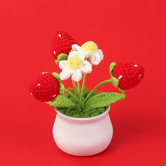 Crochet fraise en Pot créatif tricot Pot de fleur fleurs