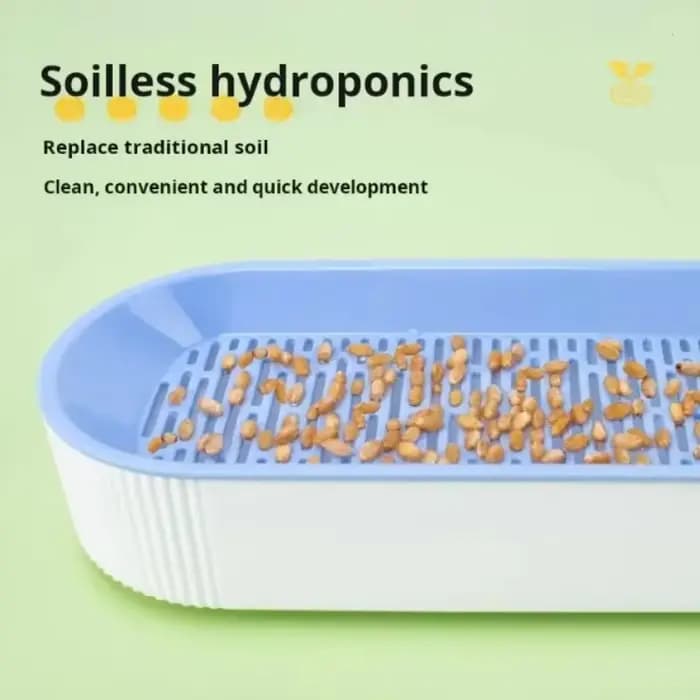 Pot de culture hydroponique sans terre pour herbe à chat