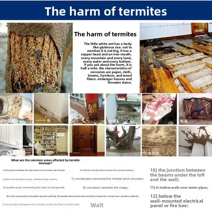 Poudre anti-termites pour la prévention domestique, agent de lutte contre les insectes, décoration de jardin, désinfection, stérilisation, fourmis blanches