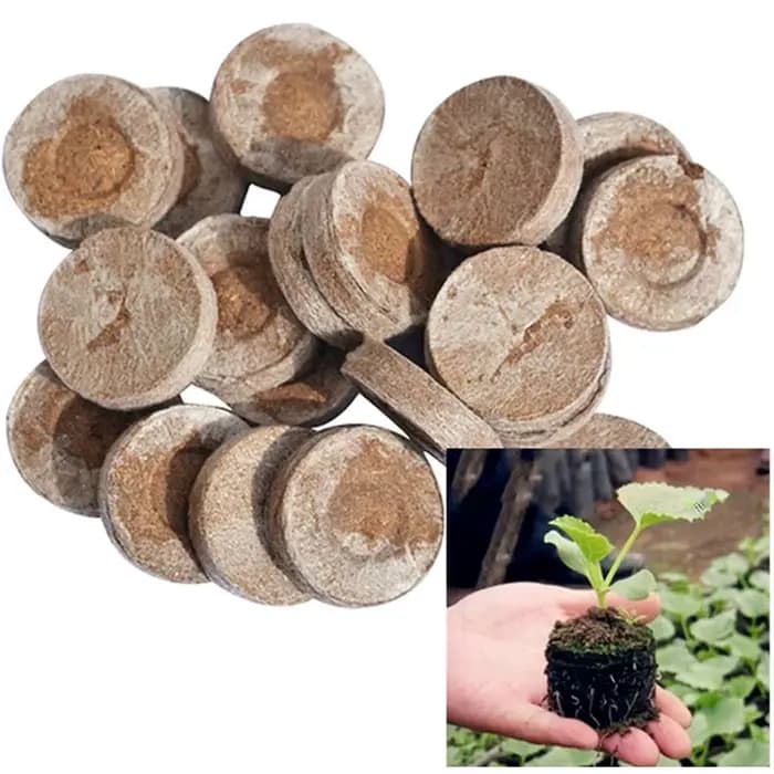 10 pièces de pastilles de tourbe compressée de 3 cm