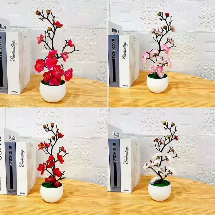 Plante en pot de fleur de prunier à usage intérieur et extérieur