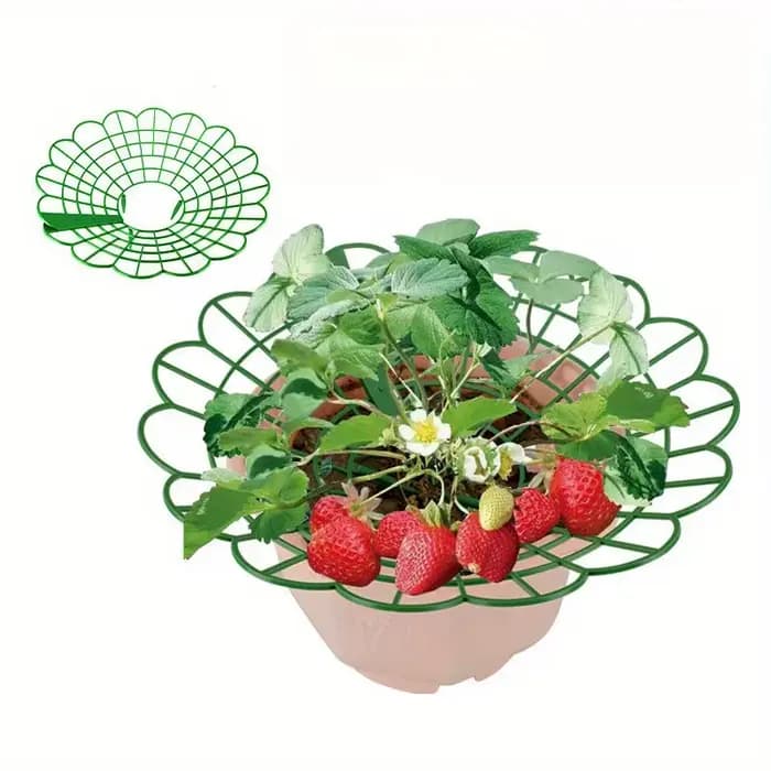 Supports pour plantes à fraises avec trois pieds robustes