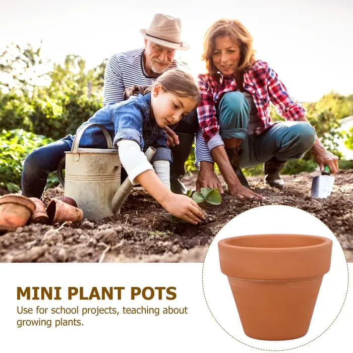Mini pot de plantes en terre cuite