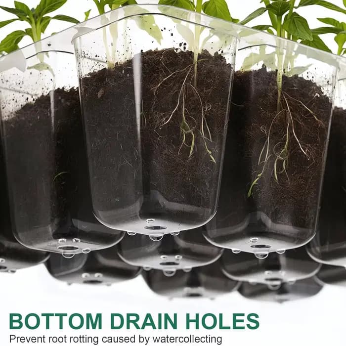 Plateau de démarrage de graines avec trou de Ventilation