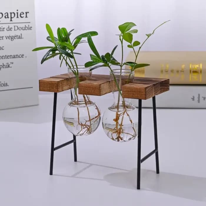 Jardinière hydroponique à cadre en bois avec bulbe en verre