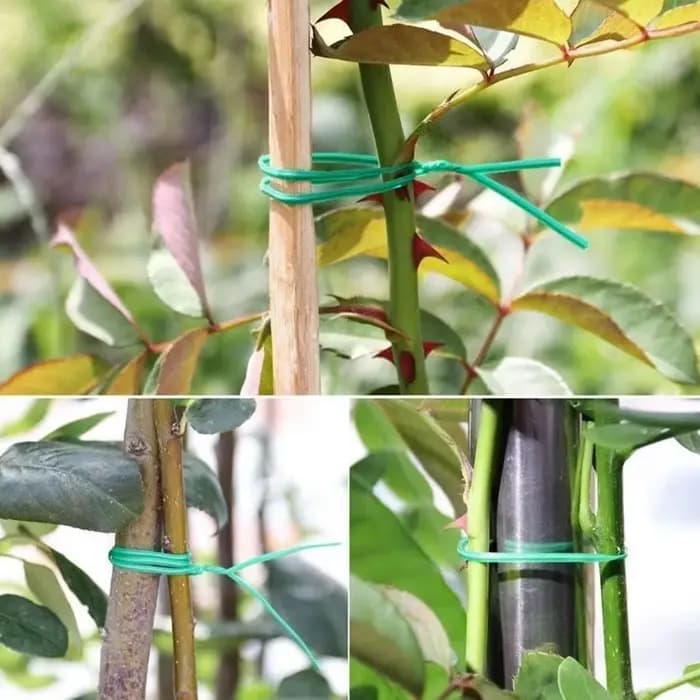 30 pièces bambou vert bâtons plante Support fleur bâton orchidée tige