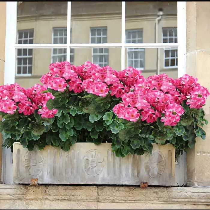 Fleurs artificielles de géranium pour l'extérieur