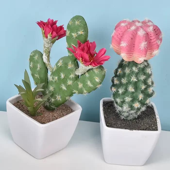 Cactus artificiel en pot plante verte Simulation succulente en pot fausses plantes