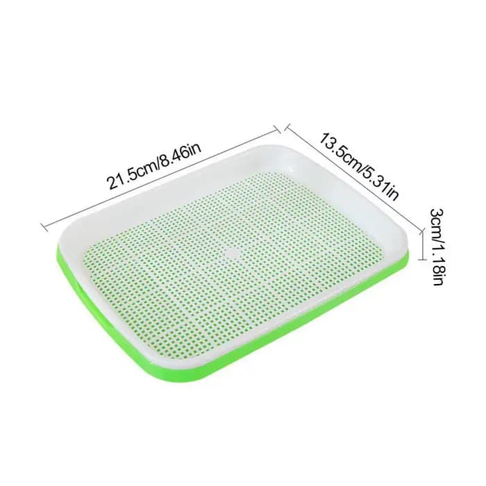 Kit de germination de graines hydroponiques sans terre avec couvercle pour jardin
