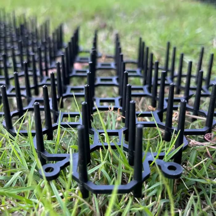 Bande de pincettes de jardin