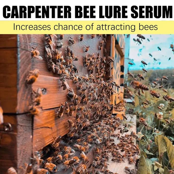 Baume attractif pour abeilles charpentières 30g – Appât naturel