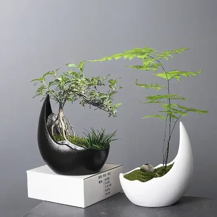 Pot de fleur en céramique en forme de corne de rhinocéros