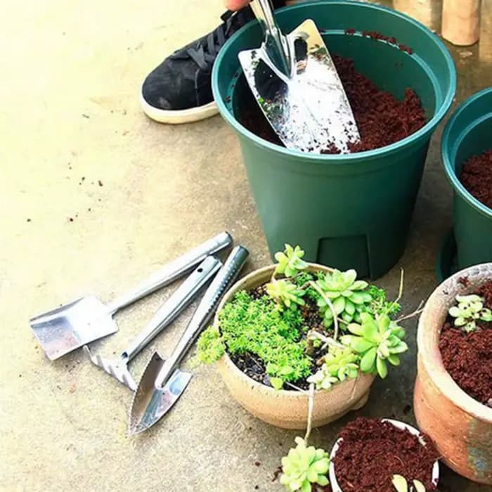 Spatule de jardinage en acier inoxydable pour terreau de bonsaï