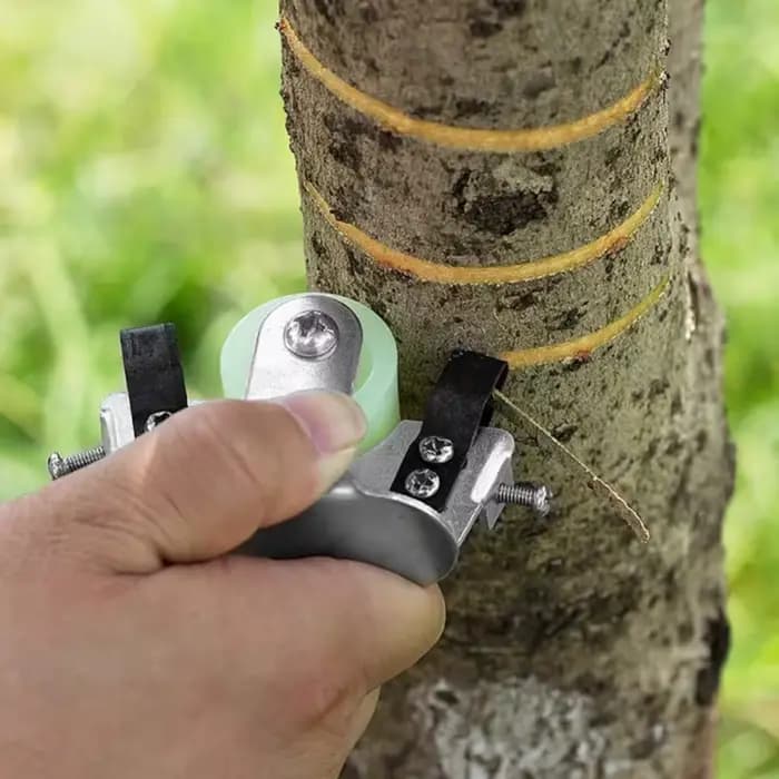 Outils de jardinage, outil d'épluchage d'écorce de jardin, cisailles de jardin, outils de coupe d'écorce d'élagage, arbres fruitiers, verger de plantes résistant à l'usure, 1 pièce