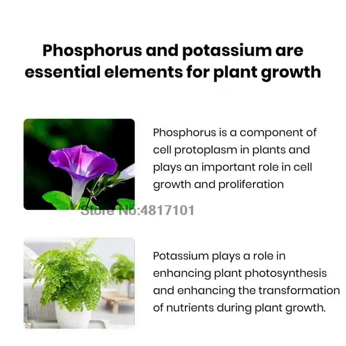 Phosphate monopotassique 100g (engrais soluble dans l'eau tout usage pour fleurs – nourriture universelle pour plantes