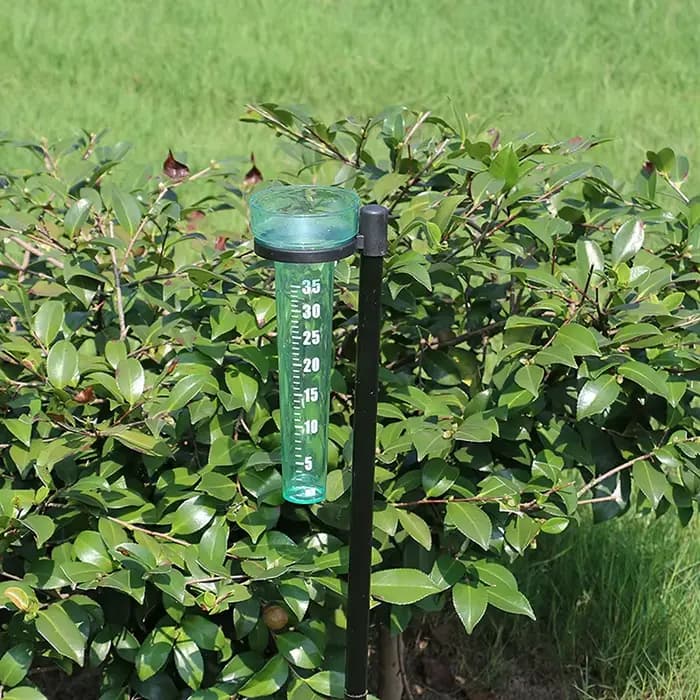 Tasse de mesure de pluie portable en polystyrène