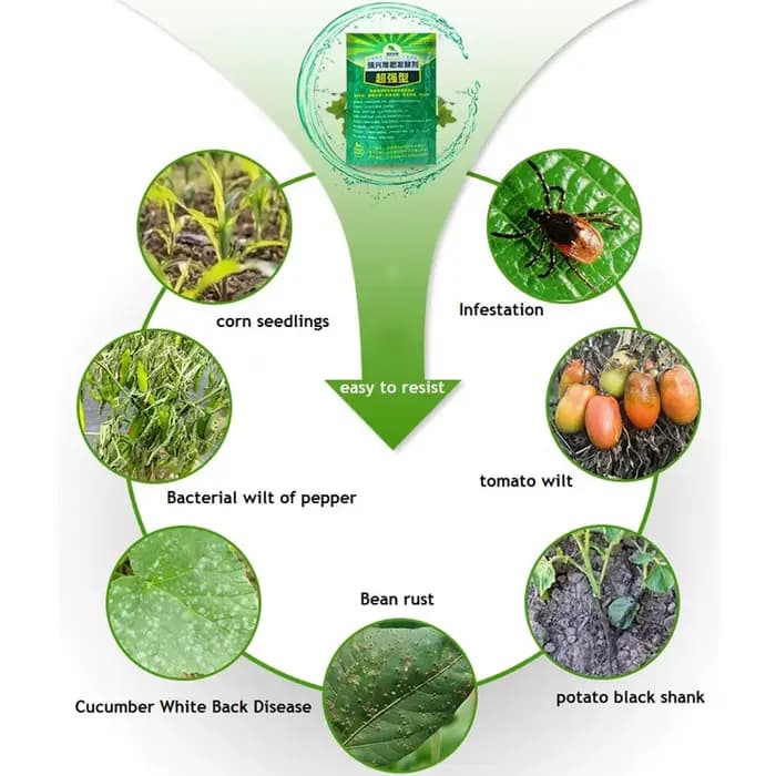 200g Démarreur de compost rapide