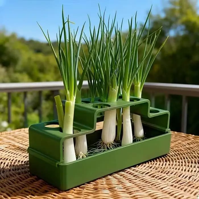 Pot de culture hydroponique domestique pour oignon vert