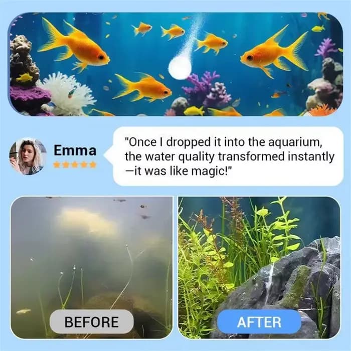 Comprimés de purification d'eau pour aquarium, détoxifiant d'ammoniac pour aquarium d'eau douce, éliminateur d'algues, adapté aux aquariums et aux bassins à poissons
