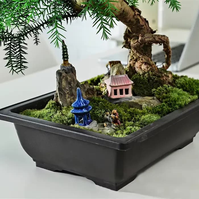 Pots De Fleurs Rectangulaires Carrés En Plastique