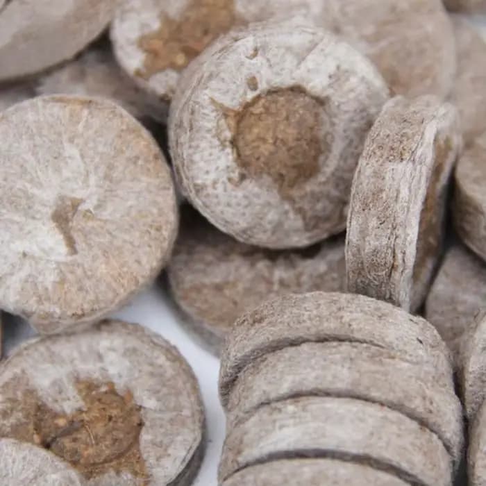 10 pièces de pastilles de tourbe compressée de 3 cm