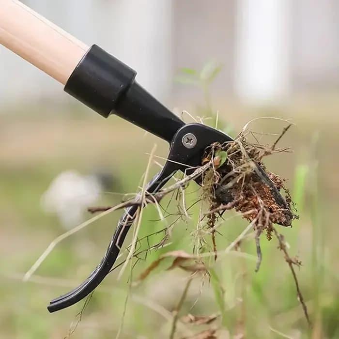 Outil d'extraction de mauvaises herbes debout