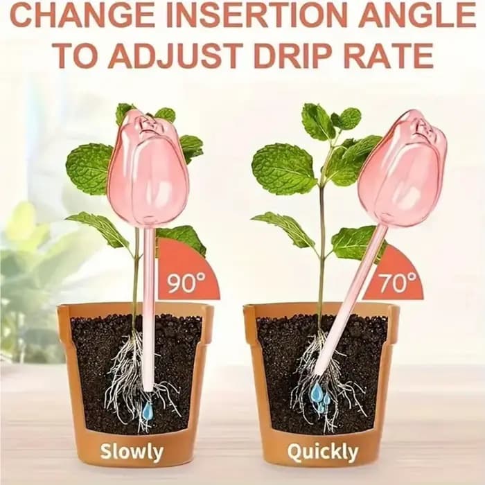 Boules d'arrosage pour plantes tulipes de jardin