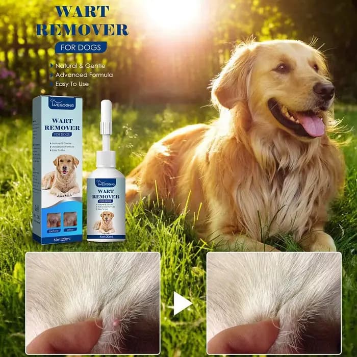 Dissolvant de verrues naturelles indolores pour animaux de compagnie, chien, fournitures de soins, livres, étiquette liquide, traitement de la peau, élimine les verrues d'animaux, Mo V3D3