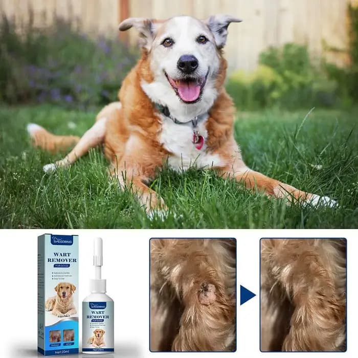 Dissolvant de verrues naturelles indolores pour animaux de compagnie, chien, fournitures de soins, livres, étiquette liquide, traitement de la peau, élimine les verrues d'animaux, Mo V3D3