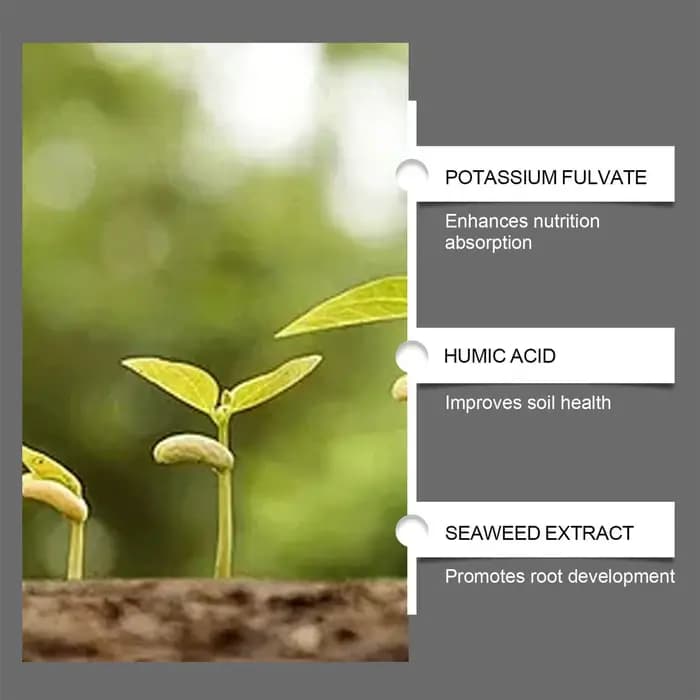 Activateur de sol pour plantes