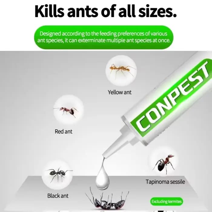 Appât liquide puissant pour fourmis d'intérieur