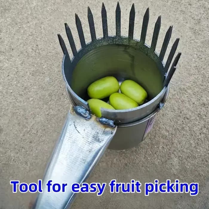 Outil de cueillette de fruits de jardin
