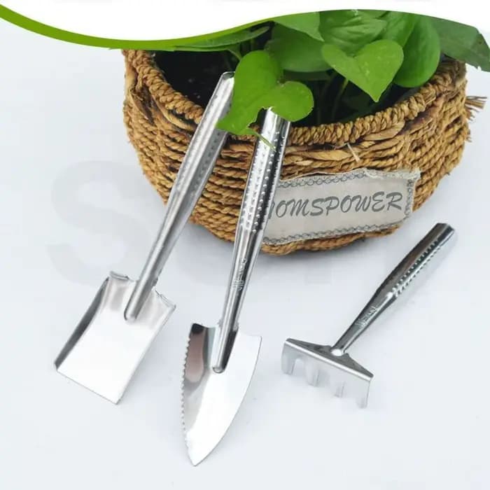 Spatule de jardinage en acier inoxydable pour terreau de bonsaï